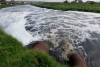 Pide Legismex informes sobre acciones implementadas tras desbordamiento de río Lerma
