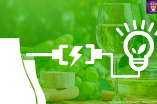 Investigadores de la UNAM hacen biocombustible con desechos de las industrias de queso y vino
