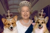 La reina Isabel II y sus corgis reales: una relación histórica