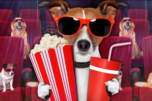 De no creerse; conoce el primer cine para perros