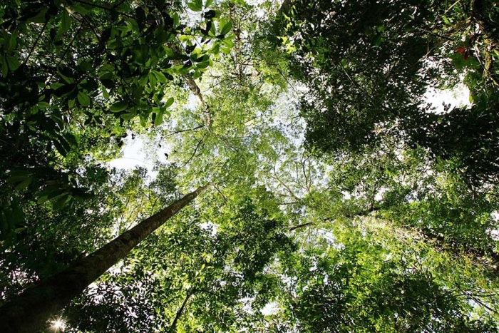 ¡Oh, no! Las zonas naturales ya empiezan a contaminarse como las ciudades