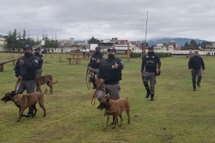 K-9, la unidad canina que ha realizado múltiples detenciones en Toluca