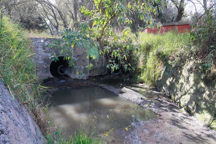 Denuncian contaminación en estanque de Alameda 2000