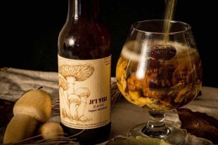 Lanzan primera cerveza mexicana hecha con hongo matsutake de Oaxaca