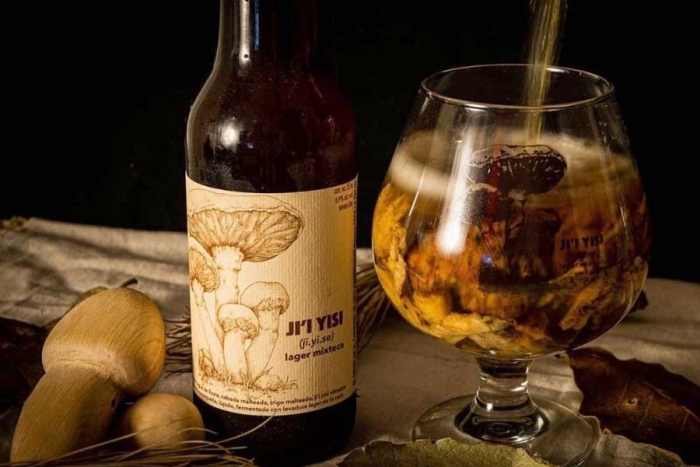 Lanzan primera cerveza mexicana hecha con hongo matsutake de Oaxaca