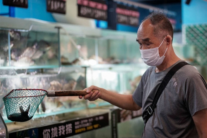 OMS investiga origen del COVID en mercado de Wuhan