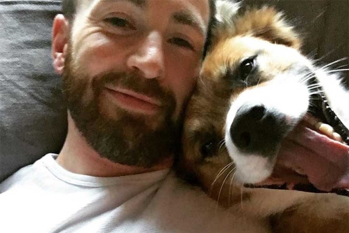 “Fue la mejor decisión de mi vida”: Chris Evans habla sobre la adopción de mascotas