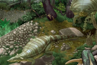 Los autores compararon el esqueleto del ancestro con otros aetosaurios antiguos