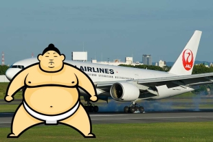Aerolínea organiza un vuelo extra para luchadores de sumo ante el riesgo de sobrecarga