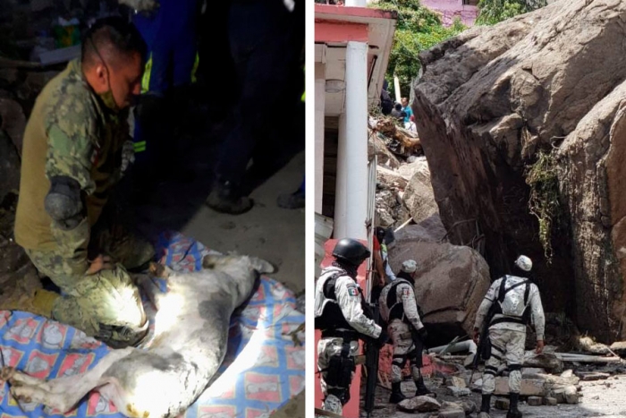 Así fue el emotivo momento donde un marino lucha por la vida de un perrito en el Cerro del Chiquihuite