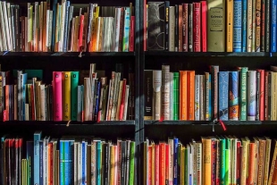 Ha disminuido el promedio de libros leídos por mexicanos al año
