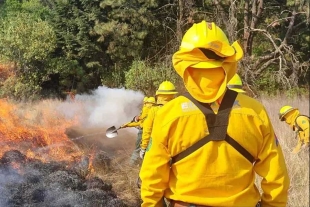 Piden aumentar las acciones para evitar incendios forestales en temporada de estiaje