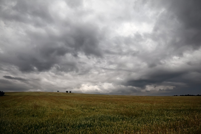 Prevén oscuro panorama agrícola por falta de lluvias