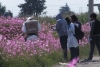 Abandonan restos humanos cerca del Aeropuerto de Toluca