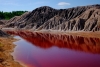 Autoridades investigan un estanque cercano al Mar Muerto que se volvió rojo