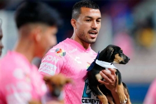 ¡Aplausos! Tuzos del Pachuca posan con cachorros para promover la adopción responsable