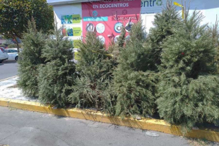 Probosque anunció la habilitación de centros especiales de acopio