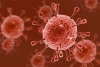 Científicos logran crear un sistema inmune contra el VIH