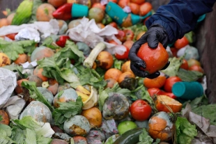 Desperdicio de alimentos, responsable de hasta el 10% de las emisiones globales