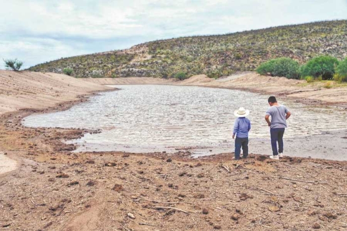 Sequía afecta a 764 municipios mexicanos, de acuerdo con la Conagua