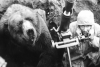Wojtek, el oso que fue parte de la 2da Guerra Mundial