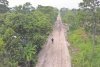 Provoca nuevo trazo de Tren Maya desastre ambiental