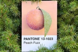 &#039;Peach Fuzz&#039;, elegido color del año 2024 según Pantone