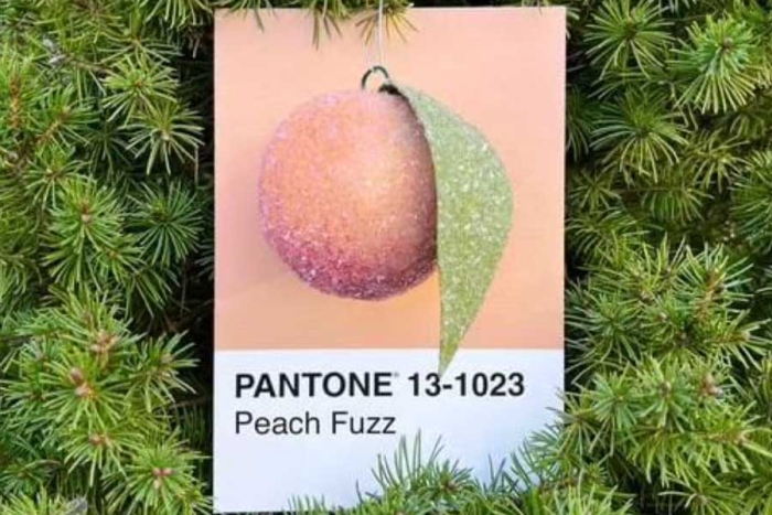 'Peach Fuzz', elegido color del año 2024 según Pantone