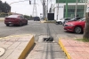 Denuncia Ciudadana