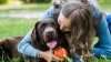 Los perros son más sensibles a la voz femenina porque ellas les “hablan más”: Estudio