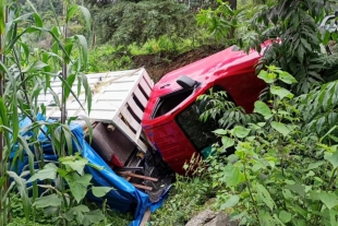 Los lesionados viajaban a bordo de una camioneta marca NISSAN color Rojo, la cual salió del camino 