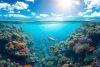 Tiburones, caracoles y más: Expedición deja al descubierto 866 especies bajo el océano