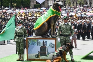 En total desfilaron 190 perros, algunos de los cuales realizaron demostraciones de obediencia