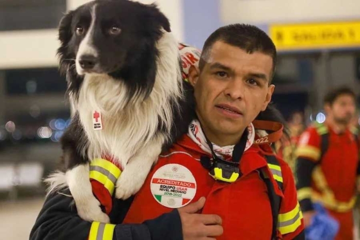 “Rex”, “July”, Balam” y “Orly”: los perritos rescatistas mexicanos que ayudarán en Turquía
