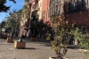 “Calles verdes”: habitantes de berlín se unen contra el cambio climático