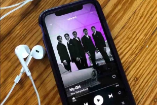 Spotify podría agregar videos musicales