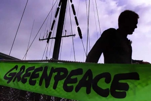 El jurado declaró a Greenpeace responsable de difamación