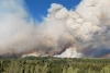 20 mil hectáreas y contando: Incendios siguen arrasando la Patagonia argentina