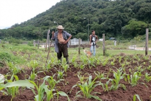 Guerra de aranceles EU-China beneficiará al campo mexiquense