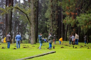 Campaña de reforestación reporta 3.5 millones de árboles plantados en el Edomex