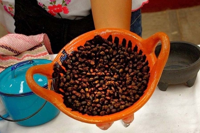 Hormigas chicatanas, platillo prehispánico con presencia en Puebla