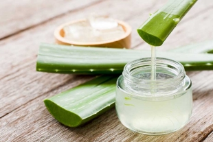 Por qué el aloe vera es un buen aliado para tratar las cicatrices