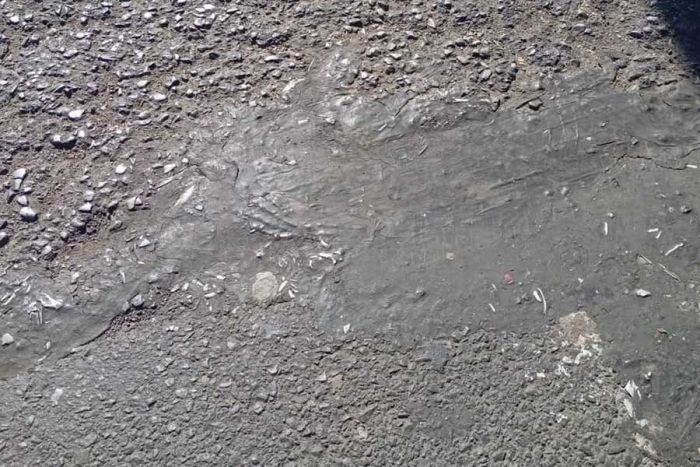 Localizan supuestos restos óseos en la Toluca- Naucalpan