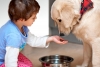 Cómo enseñar a los niños a cuidar de las mascotas