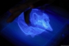 ¡COMO TONY STARK! Científicos crean hologramas que se mueven con las manos