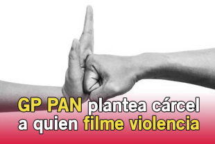 La iniciativa también contempla penas de tres a seis meses de prisión