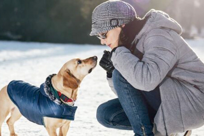 Los cambios de temperatura pueden afectar la salud de nuestras mascotas