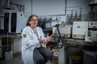 María Vicenta Esteller Alberich, investigadora UAEMéx, analiza factores naturales y humanos que contaminan el agua subterránea