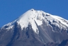 Héroes sin capa; alpinistas rescatan a perrito extraviado en el Pico de Orizaba