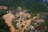 Amazonas impone récord de deforestación